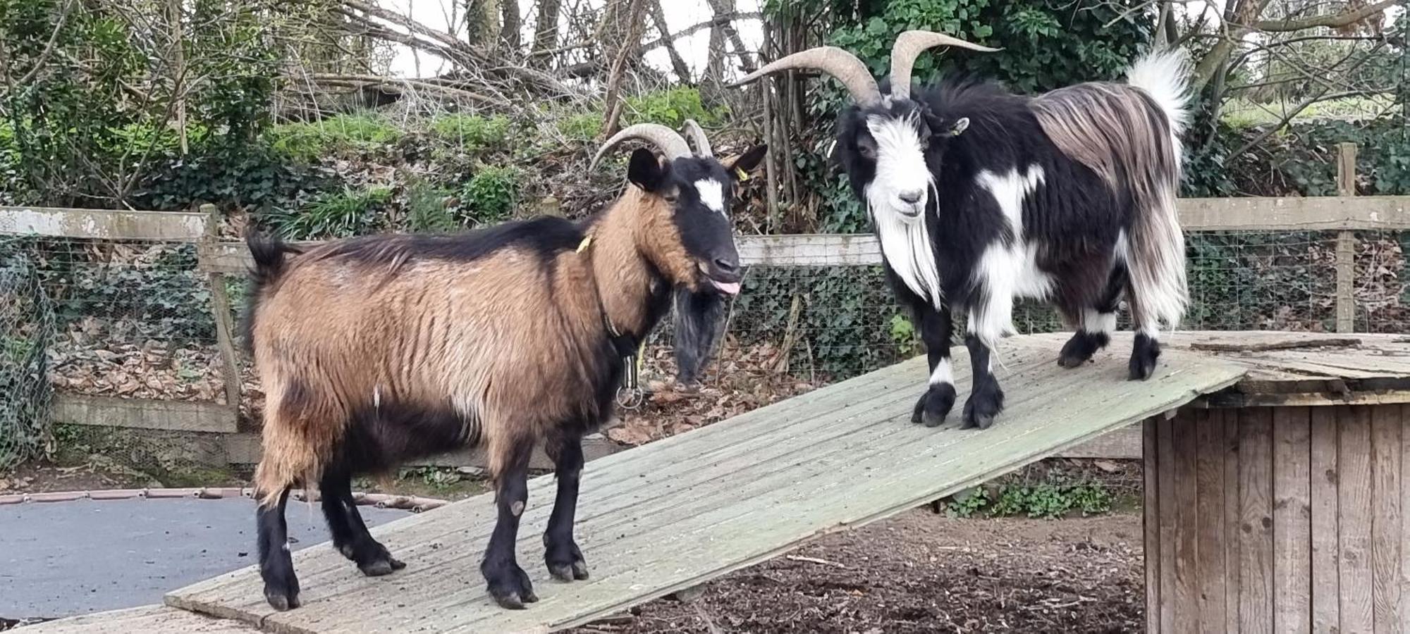 Gites Ferme De La Baie Roz-sur-Couesnon Exteriör bild